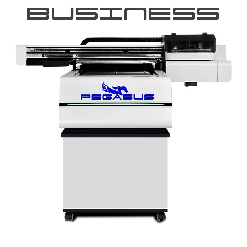 Drukarka UV Pegasus AXIS BUSINESS 0609