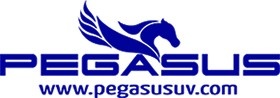 Pegasus